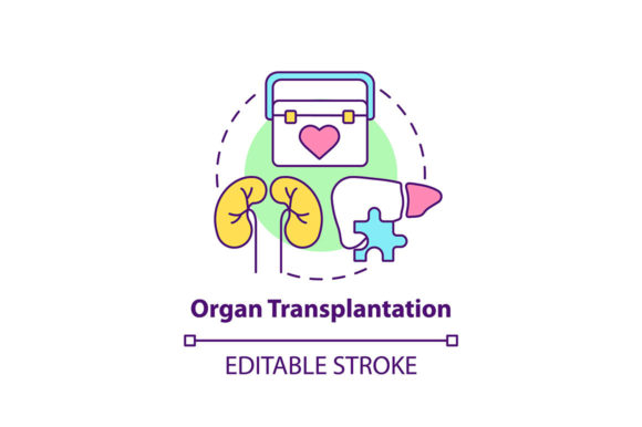 Review: Organ Transplantation Concept Icon
